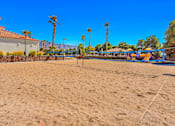 Thumbnail 52 of 57 - a sand volleyball court on a beach with palm trees