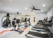 Thumbnail 14 of 31 - A row of treadmills and stationary bikes in a gym.