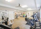 Thumbnail 14 of 34 - a gym with weights and other exercise equipment and windows at 10X Audubon Park apartments in Daphne, AL 