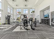 Thumbnail 23 of 39 - the gym at tapestry headwaters apartments in kissimmee, fl