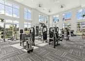 Thumbnail 21 of 39 - the gym at the Tapestry Headwaters Apartments in Kissimmee, FL