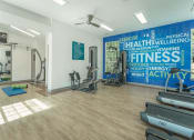 Thumbnail 7 of 34 - a gym with weights and cardio equipment and a wall mural