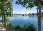 Thumbnail 17 of 34 - a view of a lake with trees