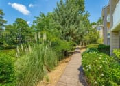 Thumbnail 18 of 34 - a walkway through a garden with trees and plants