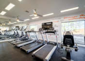 Thumbnail 13 of 35 - a gym with cardio equipment and a wall of windows