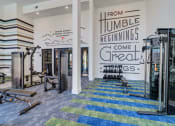 Thumbnail 20 of 50 - a gym with weights and cardio equipment at Tapestry Overbrook in McDonough, Georgia