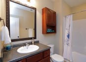 Thumbnail 8 of 18 - a bathroom with a sink toilet and shower and a mirror