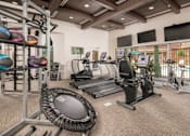 Thumbnail 15 of 25 - A gym with treadmills, exercise bikes, and a rack of exercise balls.