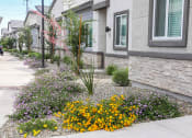 Thumbnail 28 of 29 - a garden with flowers in front of a house