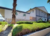 Thumbnail 1 of 11 - Palms exterior