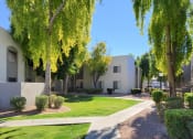 Thumbnail 5 of 18 - Lush green grass in between buildings at Stonebridge, Phoenix