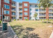 Thumbnail 21 of 24 - A tree stands in the middle of a grassy courtyard in front of apartment buildings.