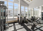 Thumbnail 5 of 15 - the gym has plenty of weights and mirrors in the windows
