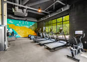 Thumbnail 14 of 27 - the gym has cardio equipment and a mural on the wall