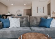 Thumbnail 57 of 60 - a living room with a gray couch and blue pillows