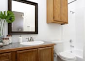 Thumbnail 13 of 13 - a bathroom with a sink and a mirror and a toilet