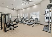 Thumbnail 16 of 19 - A spacious gym with a variety of equipment including treadmills, weight machines, and a squat rack.