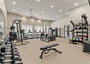 Thumbnail 15 of 19 - A spacious gym with a variety of equipment including dumbbells, weight machines, and a bench.