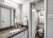 Thumbnail 13 of 20 - a bathroom with a sink and a mirror and a toilet