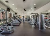 Thumbnail 20 of 23 - a gym with cardio equipment and windows in a building