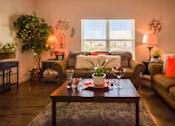 Thumbnail 4 of 9 - A living room with a couch, a table, and a potted plant.