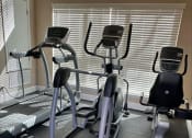 Thumbnail 16 of 22 - a group of exercise bikes in a gym