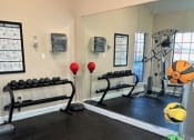 Thumbnail 19 of 22 - a gym with weights and exercise equipment in a room