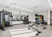 Thumbnail 10 of 26 - A spacious gym with a variety of equipment including a squat rack, a bench press, and a rowing machine.