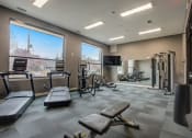 Thumbnail 8 of 30 - the gym is equipped with cardio equipment and window views of the city