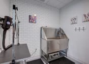 Thumbnail 9 of 30 - Room with Pet Wash Staiton