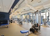 Thumbnail 9 of 22 - a gym with weights and cardio equipment in a building