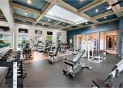 Thumbnail 12 of 24 - a gym with cardio equipment and weights in a building with blue ceilings