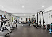 Thumbnail 52 of 61 - A gym with a variety of equipment including treadmills, weights, and exercise machines.