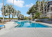 Thumbnail 55 of 61 - A swimming pool surrounded by palm trees and a building in the background.