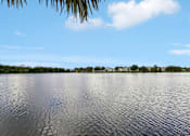 Thumbnail 61 of 61 - A serene lake with a clear sky and a few clouds.
