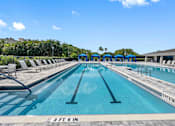 Thumbnail 26 of 35 - the pool at the resort at longboat key club