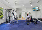Thumbnail 67 of 71 - A well-equipped home gym with a variety of exercise equipment.