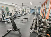 Thumbnail 14 of 39 - a gym with cardio equipment and weights on the floor