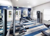 Thumbnail 6 of 25 - Ardenne Apartments fitness center with weight machines, treadmill, elyptical, blue and white carpet and blue accent wall