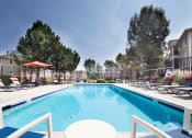 Thumbnail 12 of 25 - Ardenne Apartments pool with chairs and tall green trees
