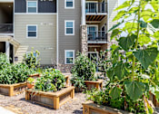 Thumbnail 15 of 30 - Apartment complex with a garden in front.