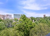 Thumbnail 26 of 27 - A view of a cityscape with buildings and trees in the foreground.