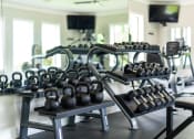 Thumbnail 37 of 48 - a fitness room with weights on a rack