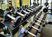 Thumbnail 9 of 19 - a row of weights in a gym