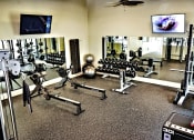 Thumbnail 8 of 19 - a fully equipped gym with weights and cardio equipment