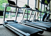 Thumbnail 6 of 19 - two treadmills in a gym with a large window