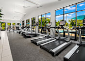 Thumbnail 12 of 30 - A gym with treadmills and a plant on the left.