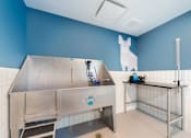 Thumbnail 25 of 43 - A dog grooming station with a blue wall and a white dog cutout.