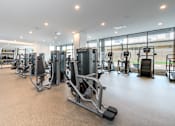 Thumbnail 31 of 43 - A gym with a variety of equipment including treadmills, weights, and exercise machines.
