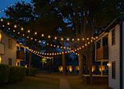Thumbnail 7 of 14 - A row of houses are decorated with lights on the front.